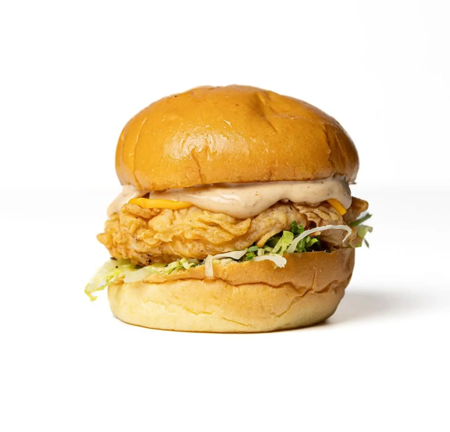 Crispy Chicken