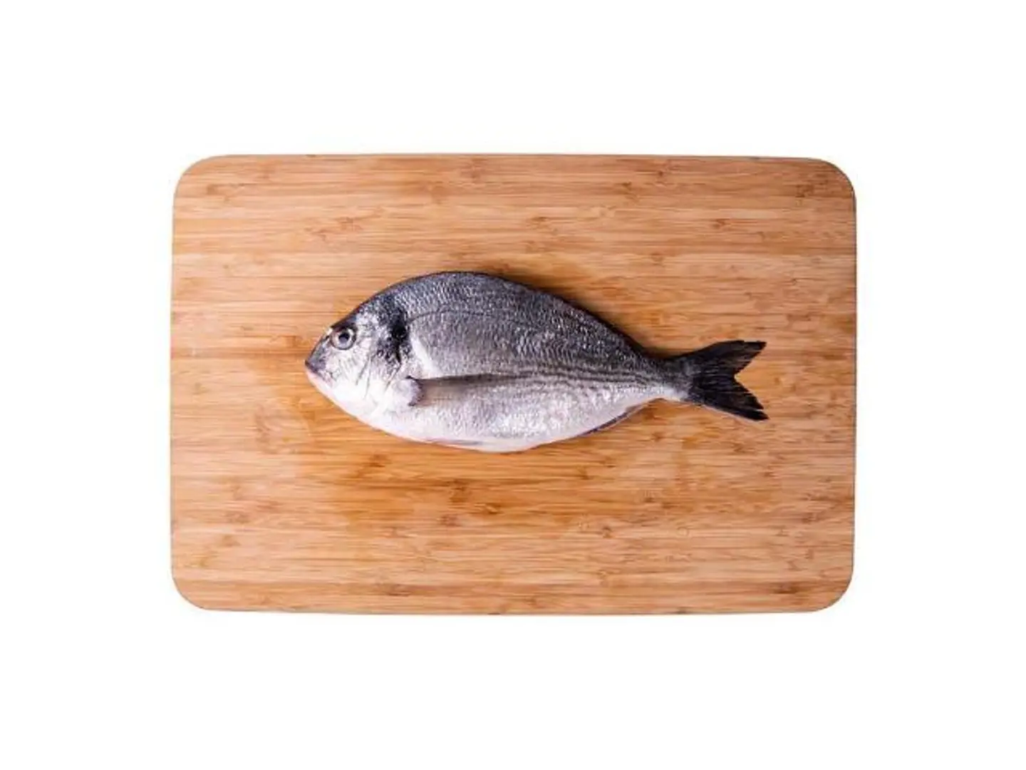 Sea Bream