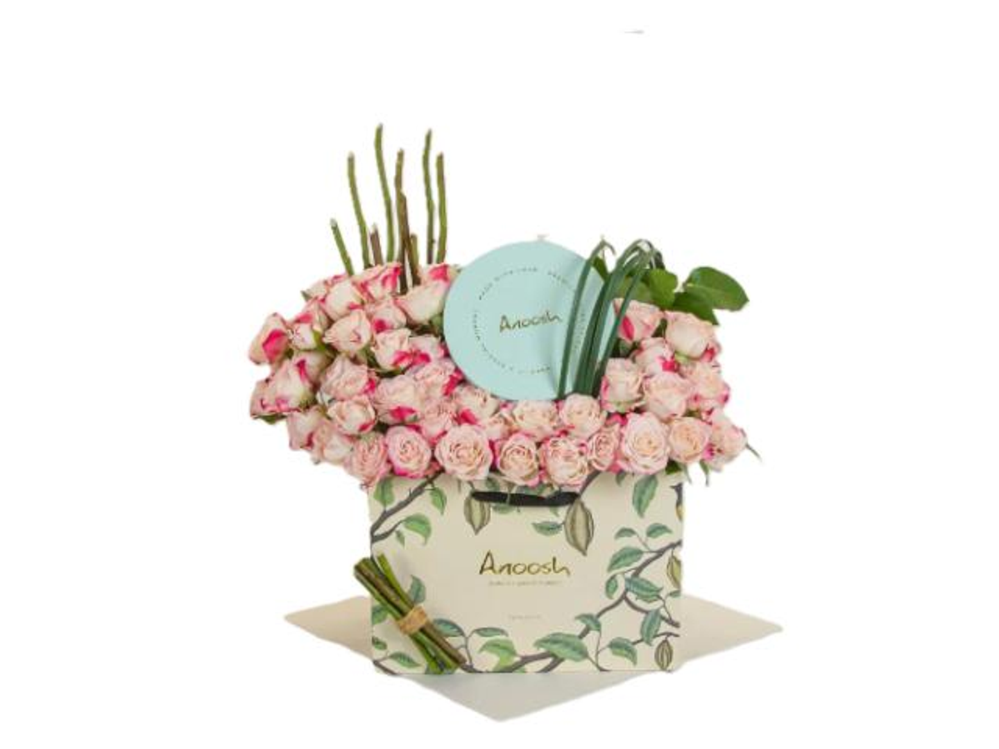 انوش وفازه أحبك لأنك تفهمني بدون كلام