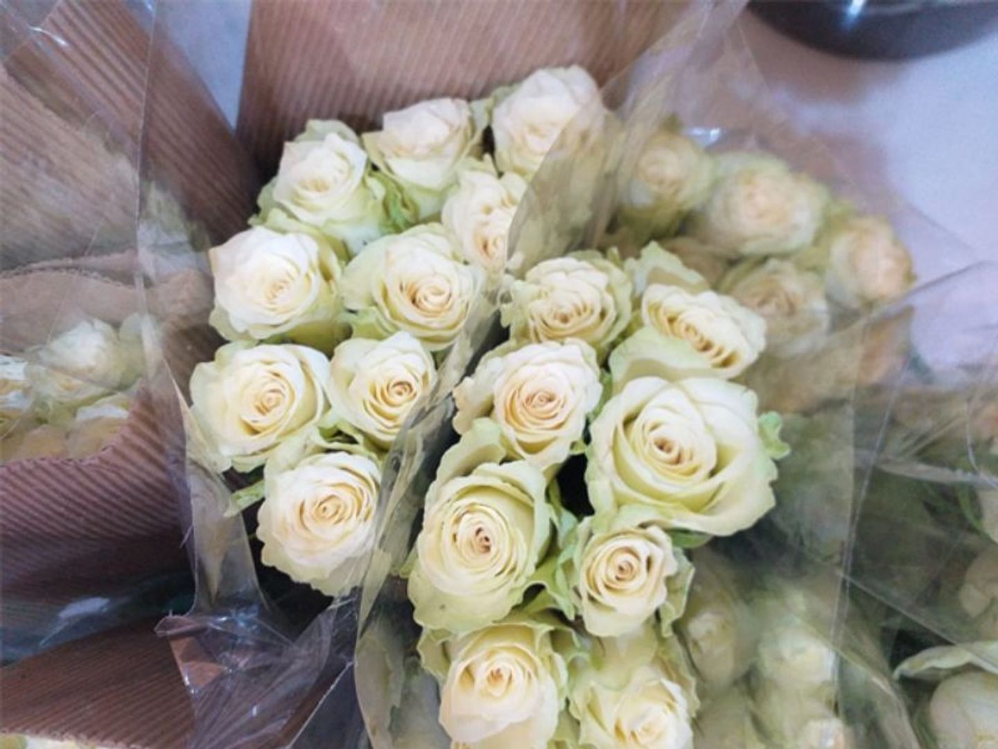 White Roses Without Packaging