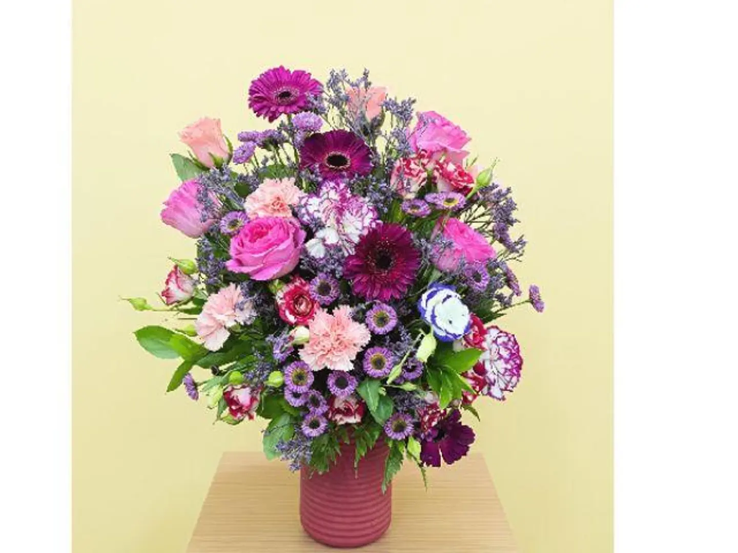 Netherlands Petals 449