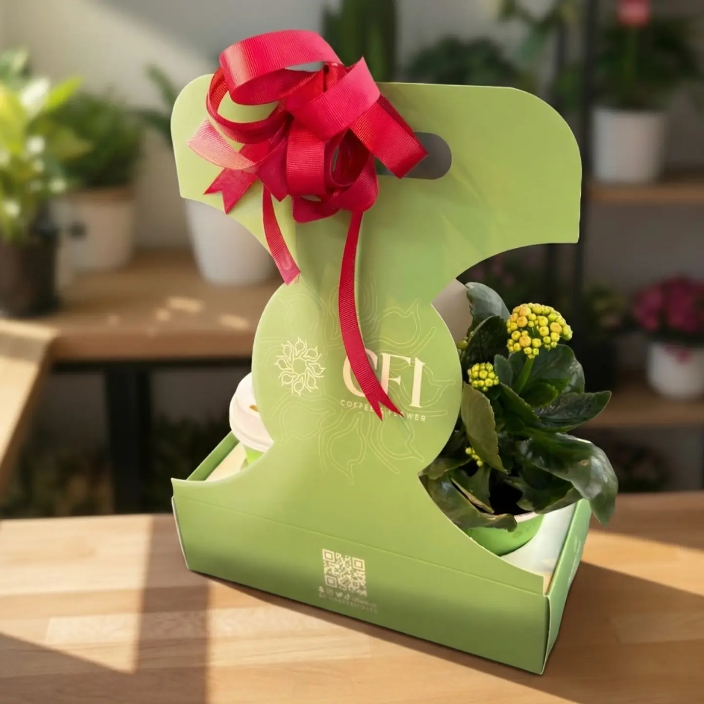 نبتة الكالانشو اصفرو قهوة