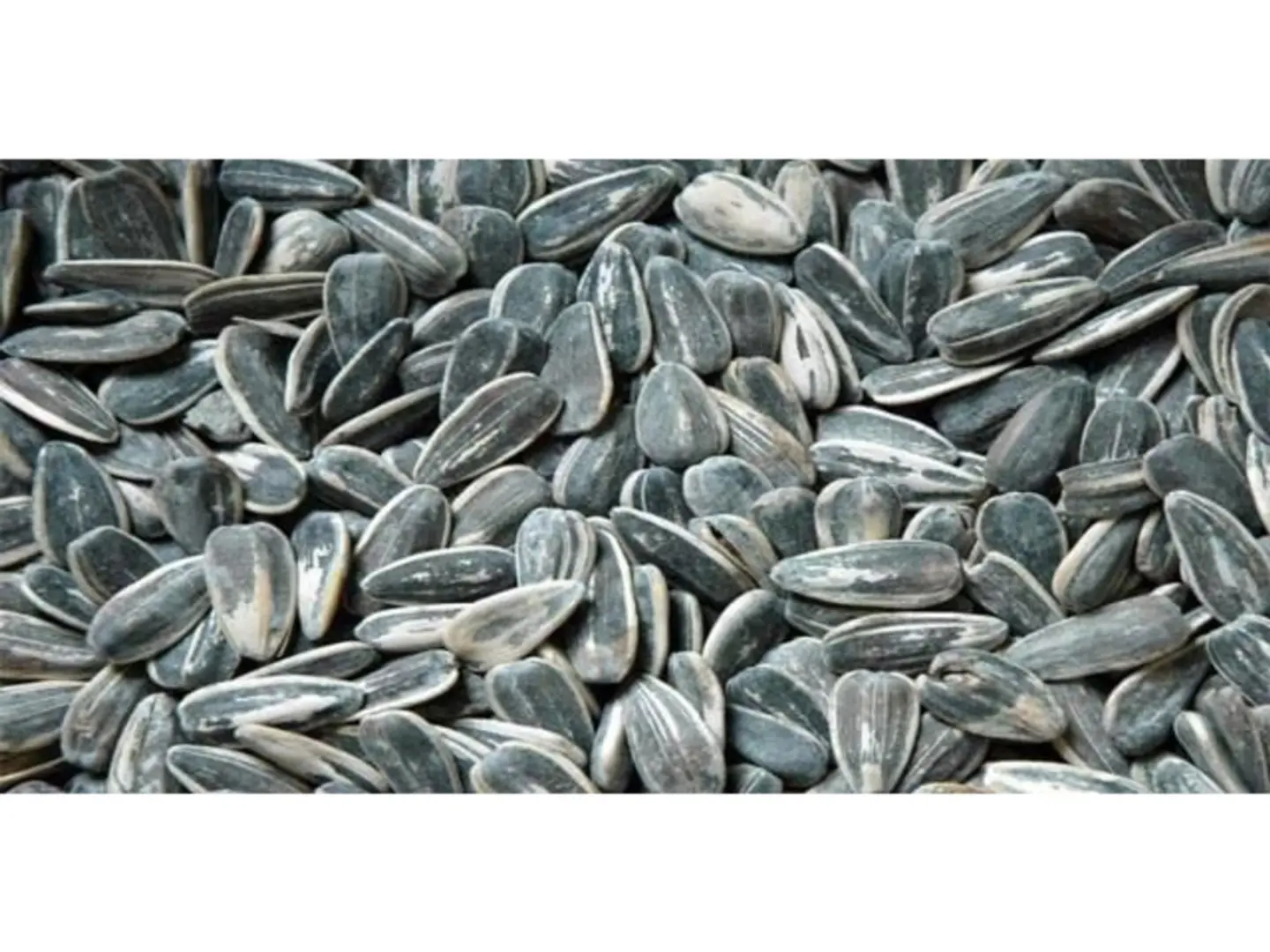 Sunflower Seeds
