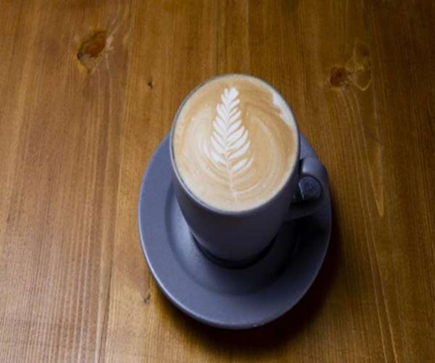 Mocha