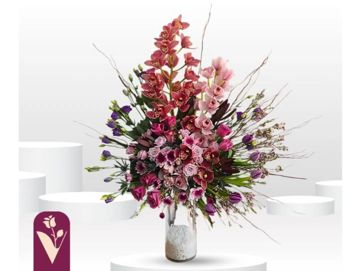 فازة سمبديو مينا