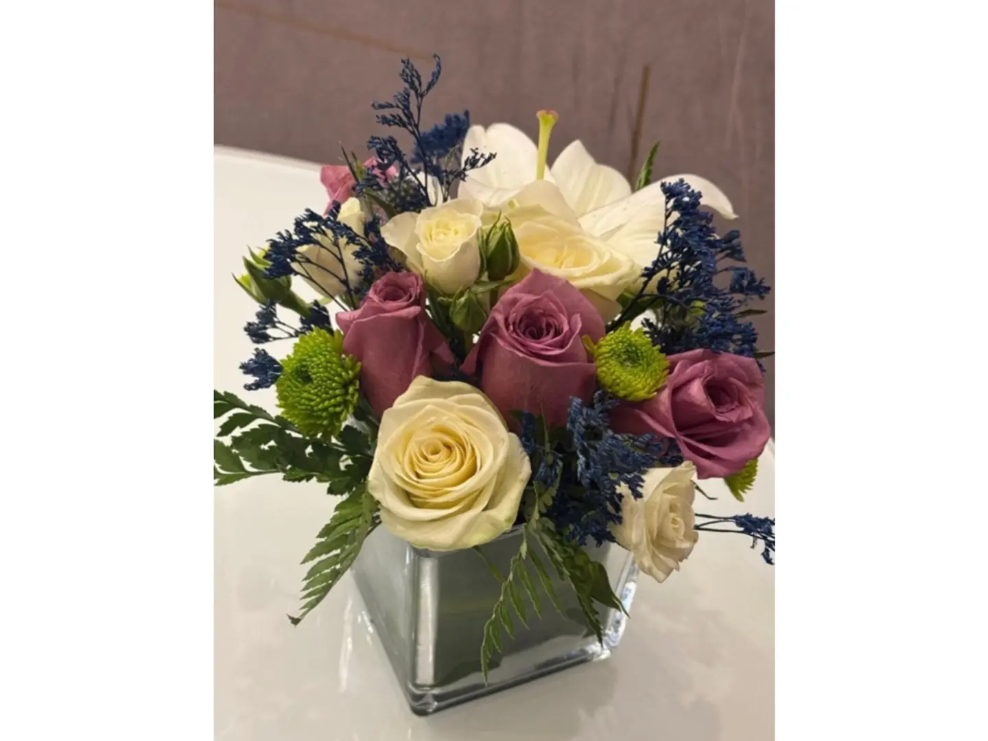 فازة أتراكتيف