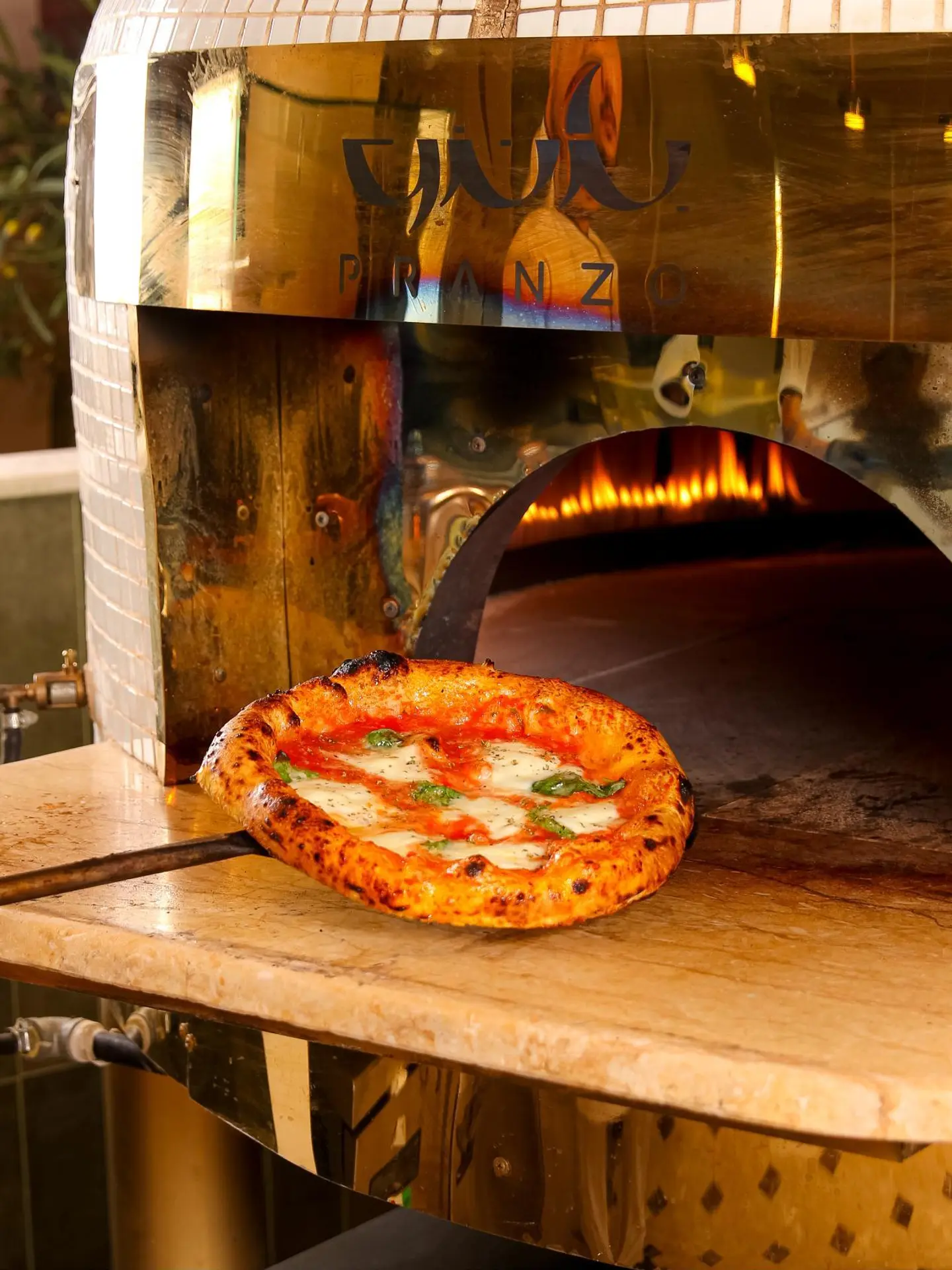 Buffalo Pizza