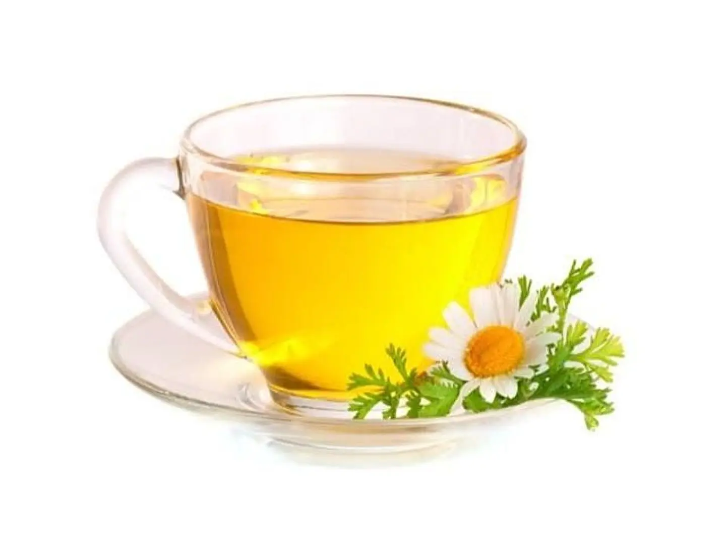 Chamomile Tea
