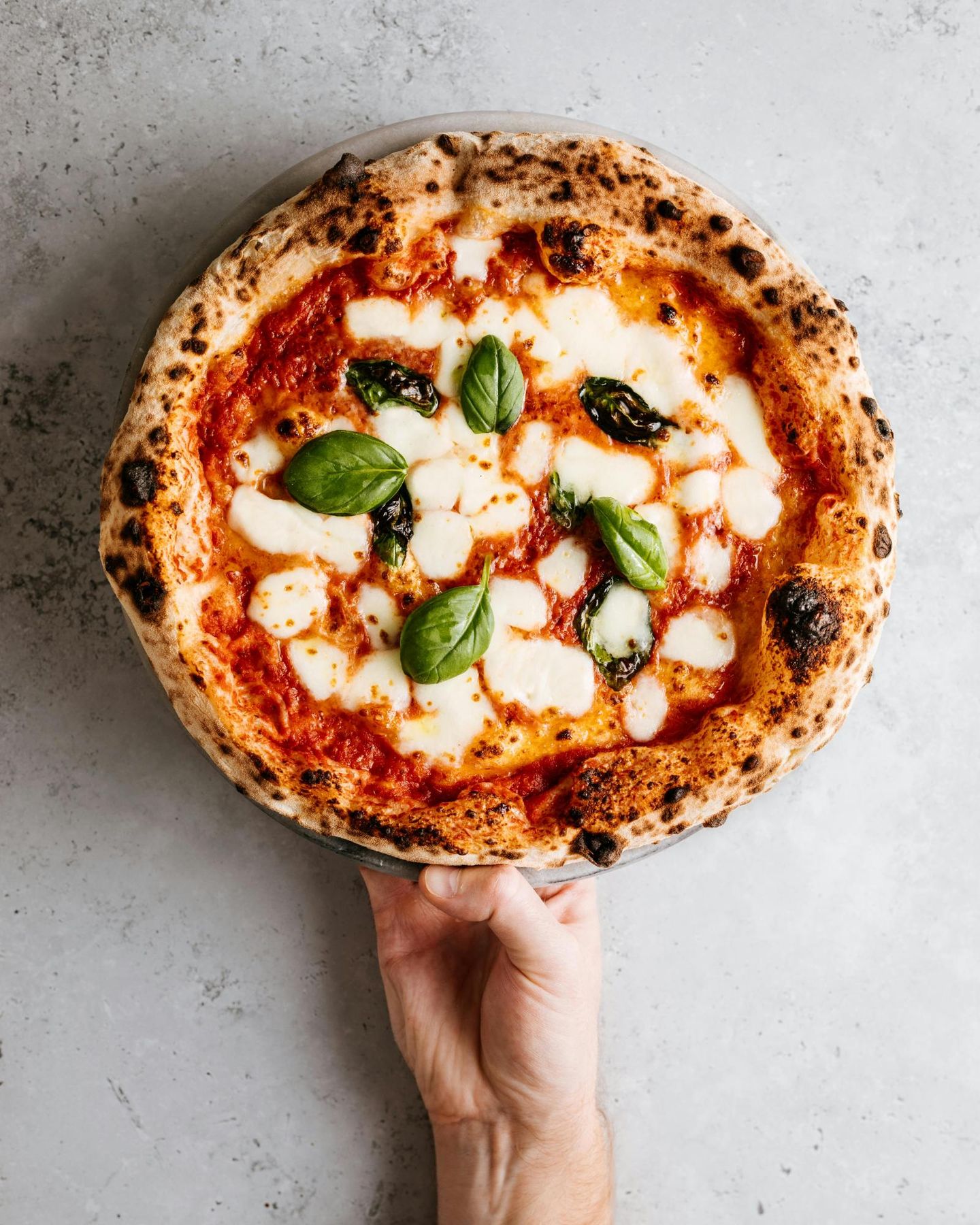 Classic Napoli Pizza