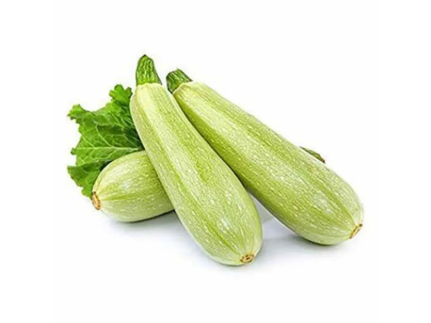 كوسه كيلو