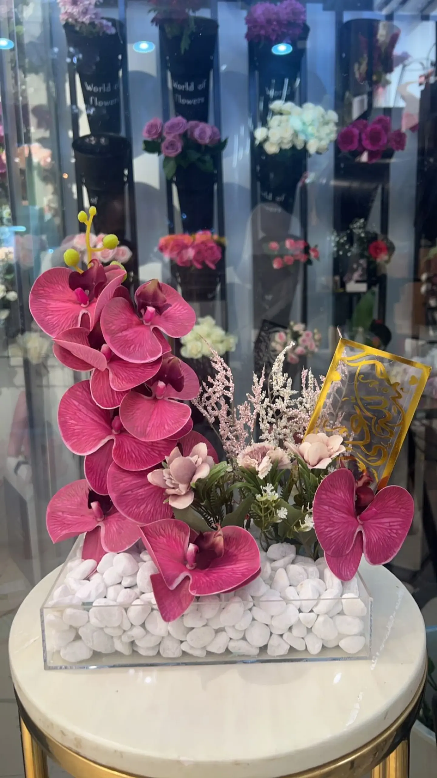 استاند الربيع