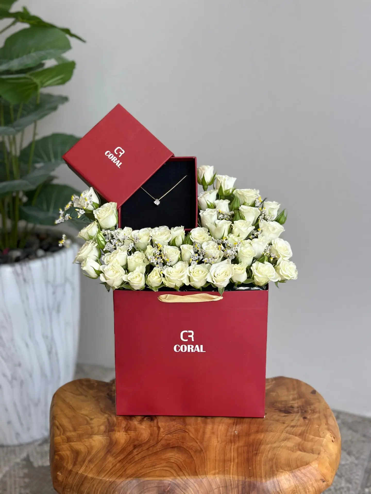 Coral Brand Gold Chain Coordination C