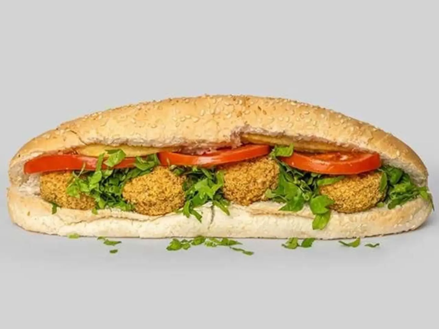 Regular Falafel Sandwich