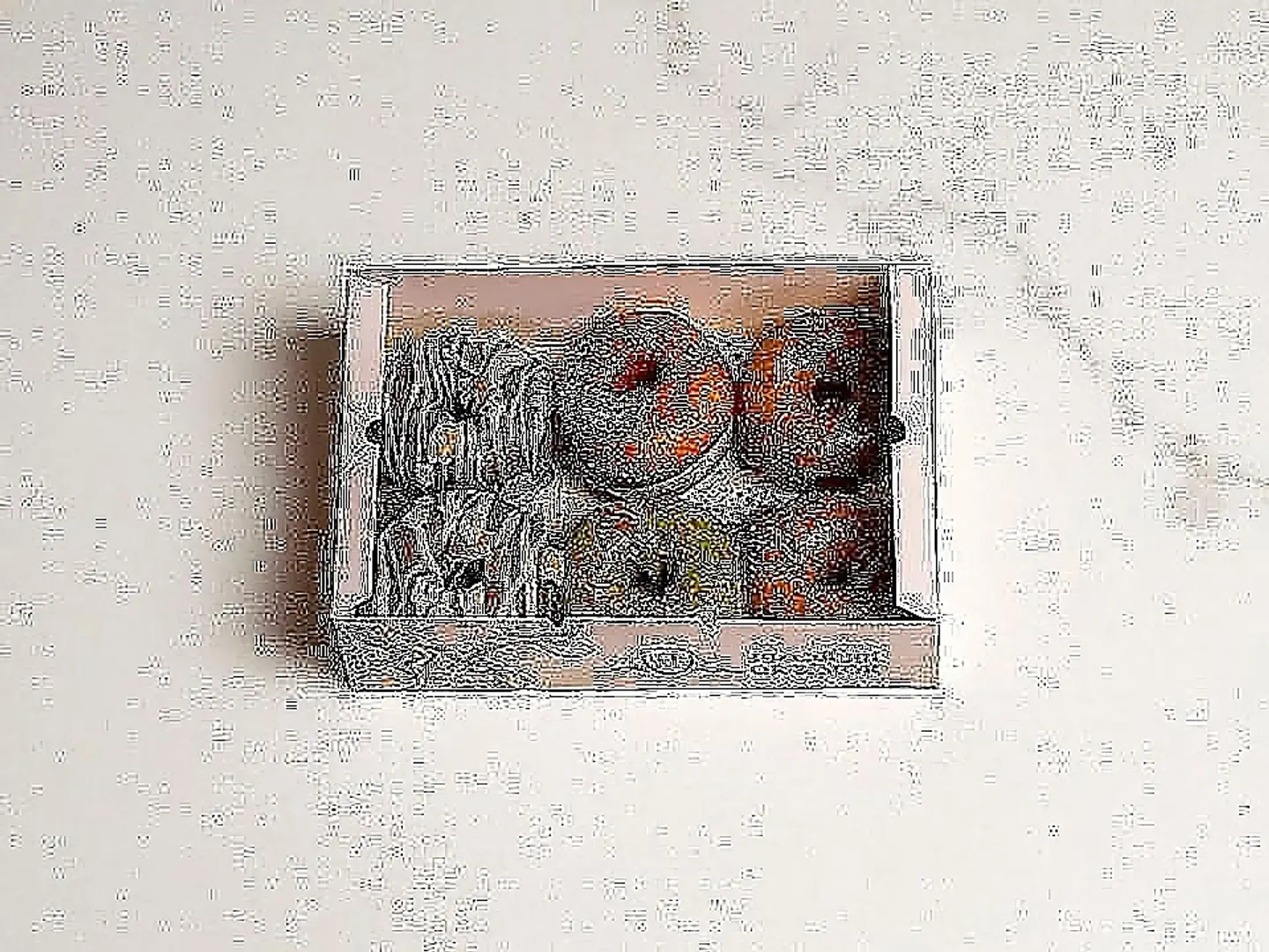 Donut Box
