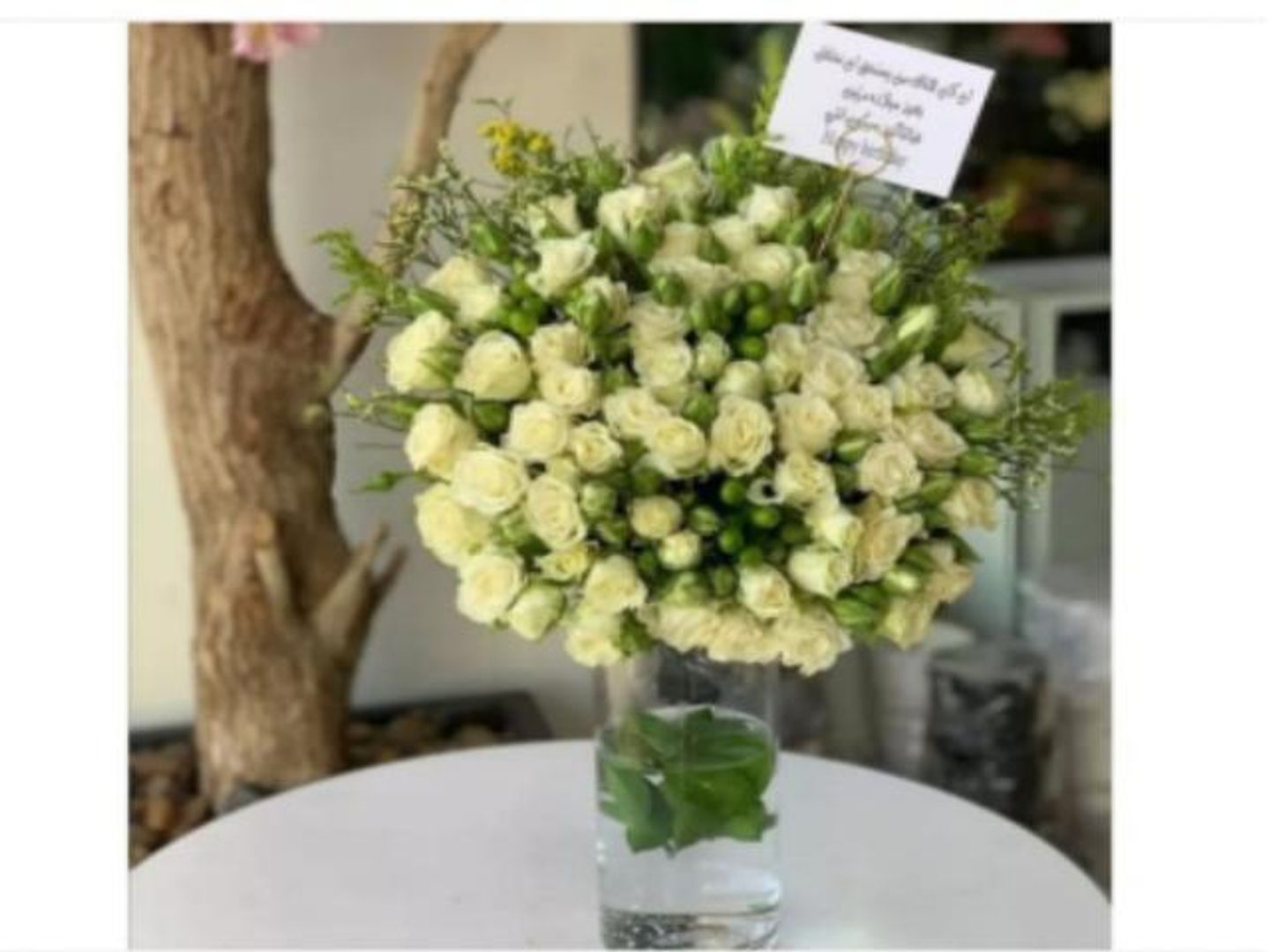 فازة الوفاء