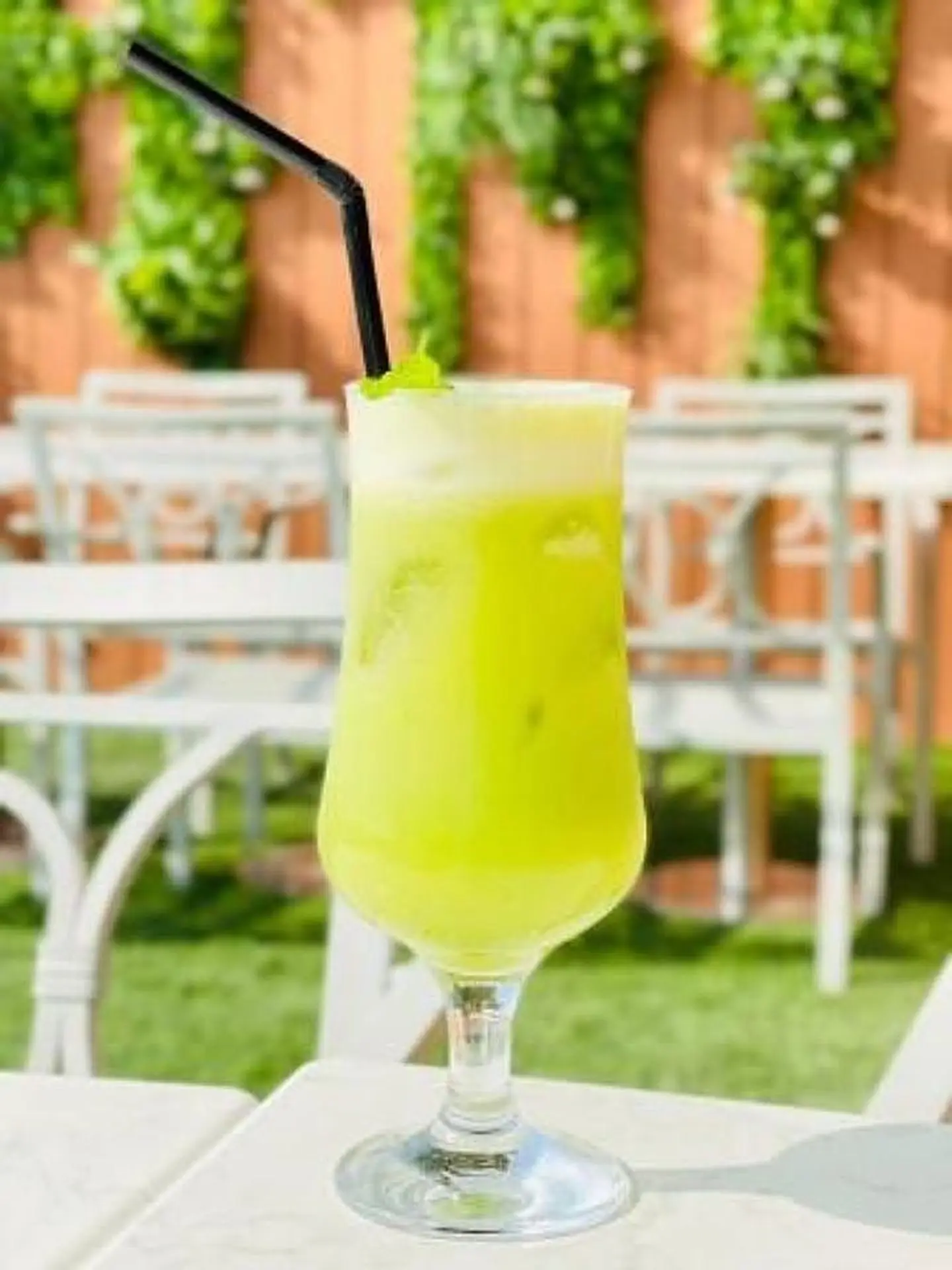 مبرد ديتوكس