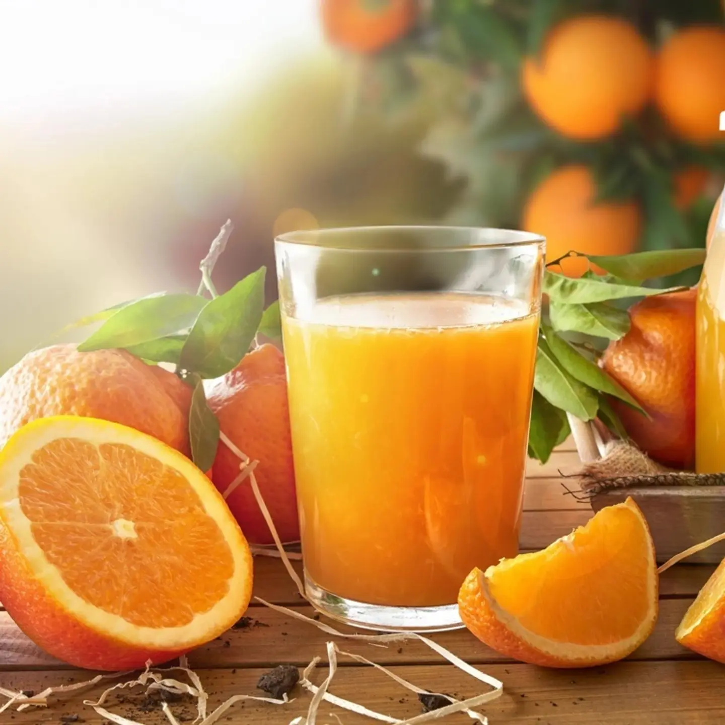 Fresh Orange Juice