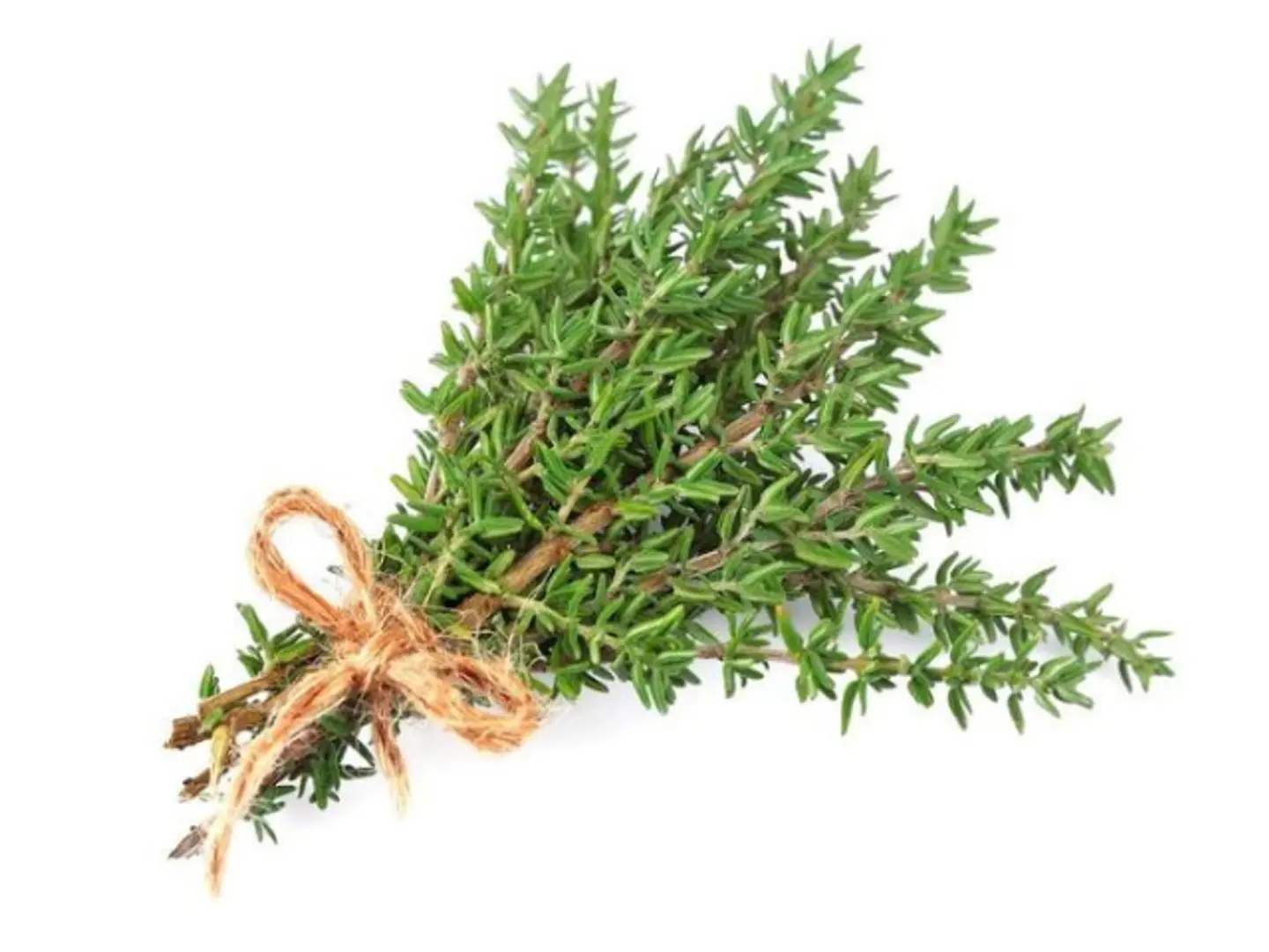 زعتر مستورد