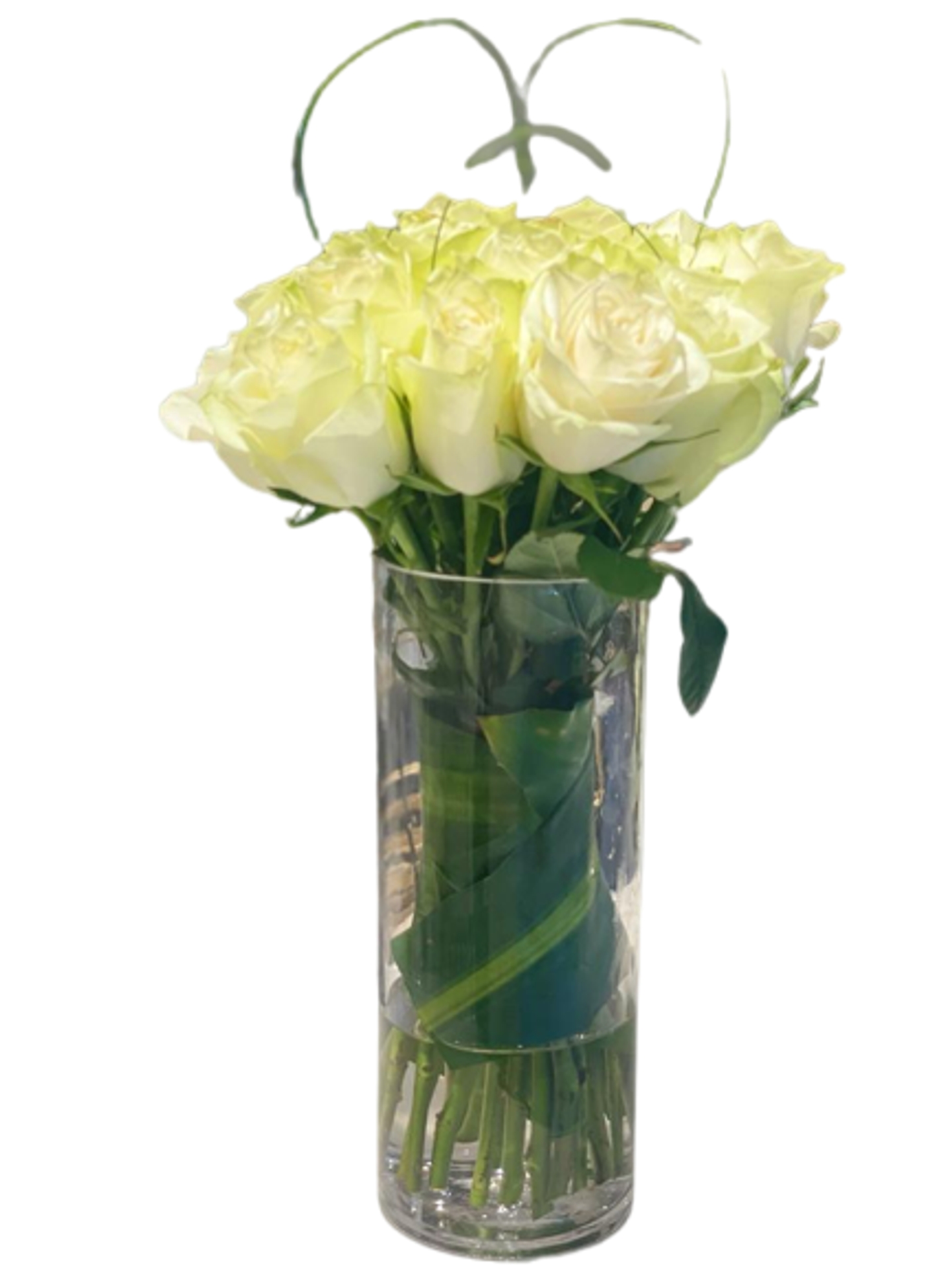 You Are A Rose Flower Vazza 0006