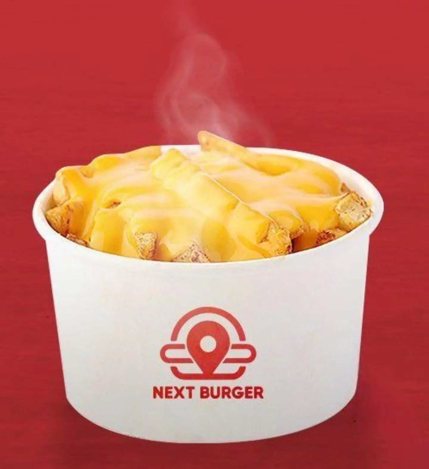 Cheese Fries