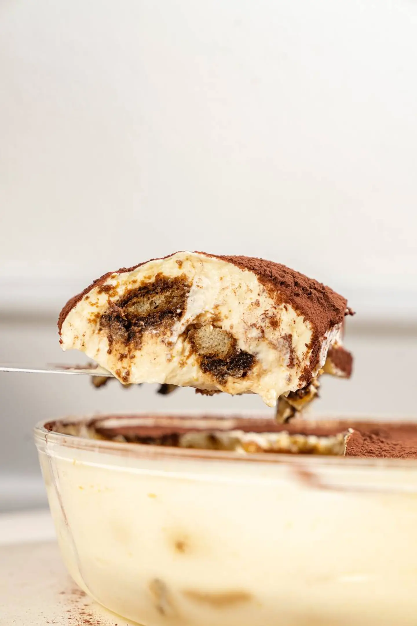 Tiramisu - Large