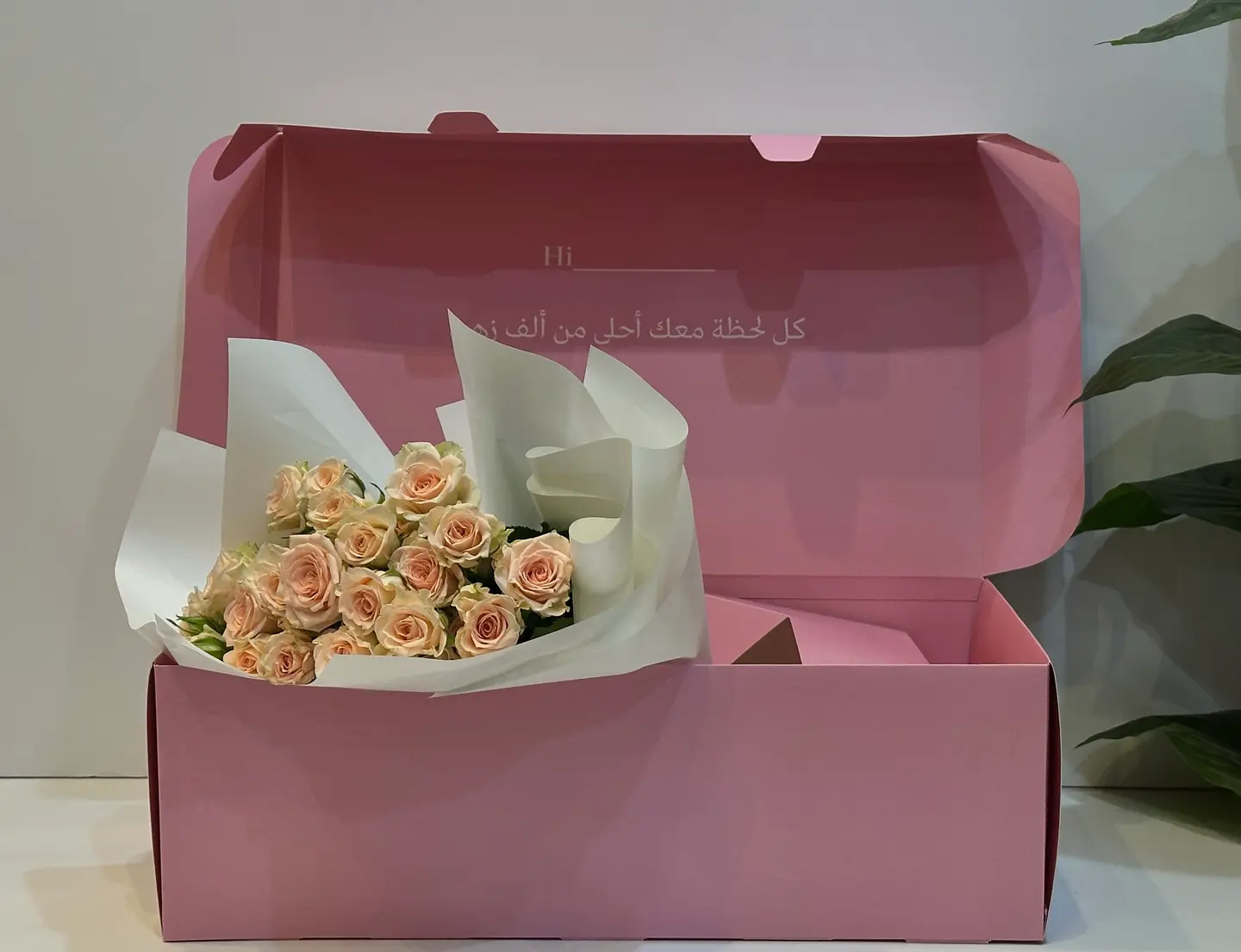 بوكس شموخ الربيع