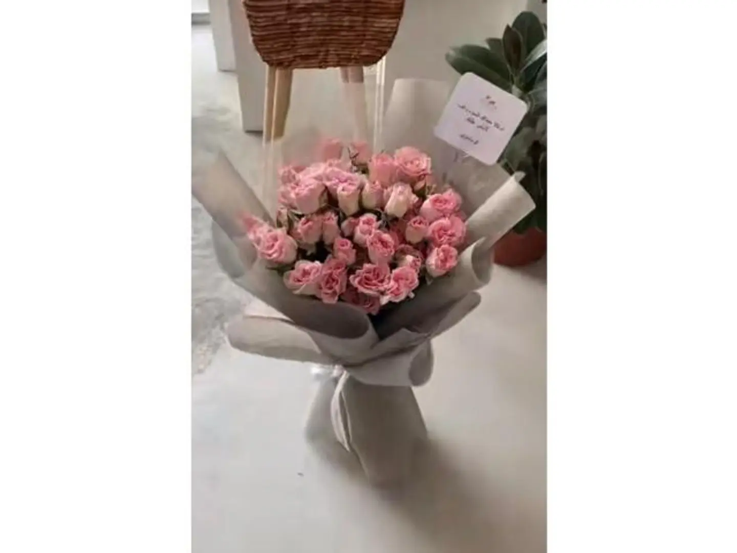 شروق الحنين