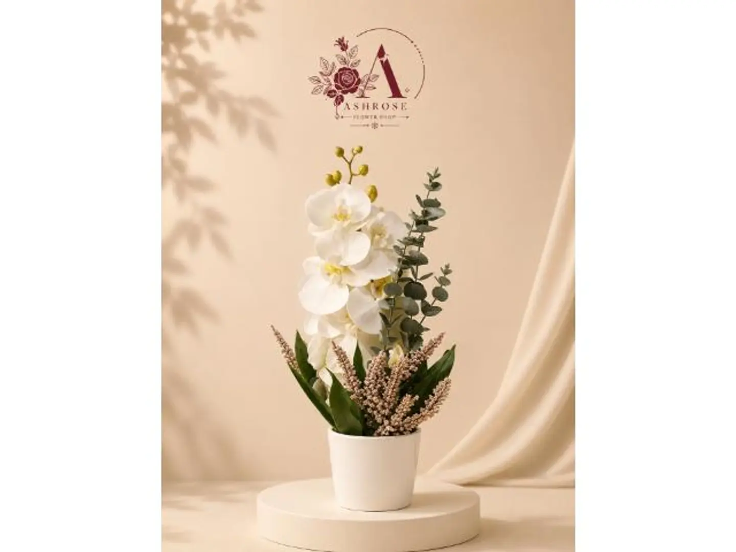 Luxury White Orchid With A Calm Touch