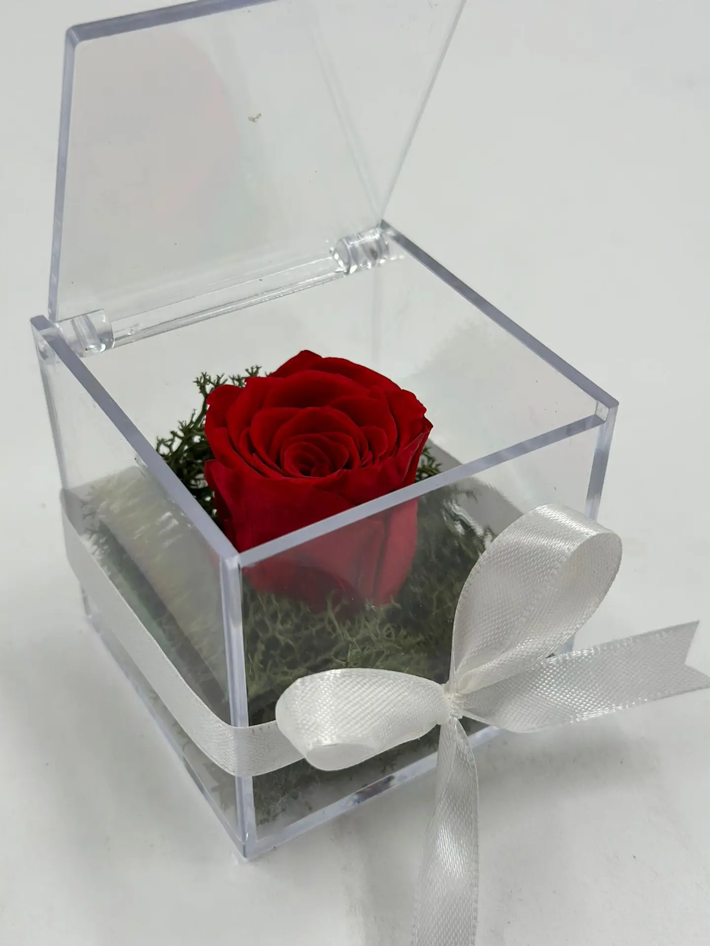 Everlasting Red Rose