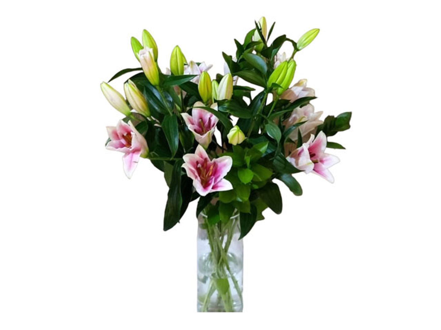 Pink Casablanca Vase