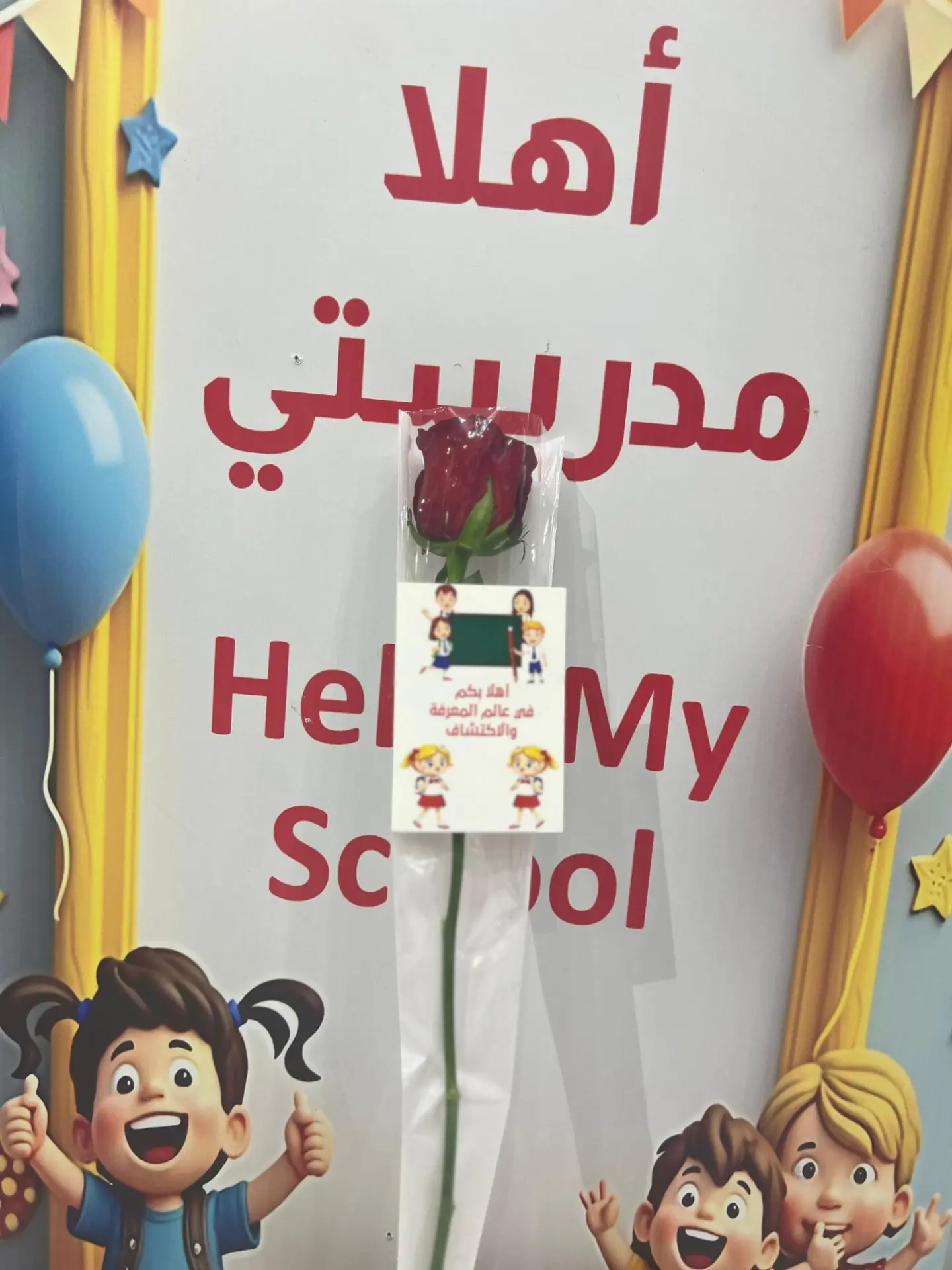 توزيعات ورد مغلف 7