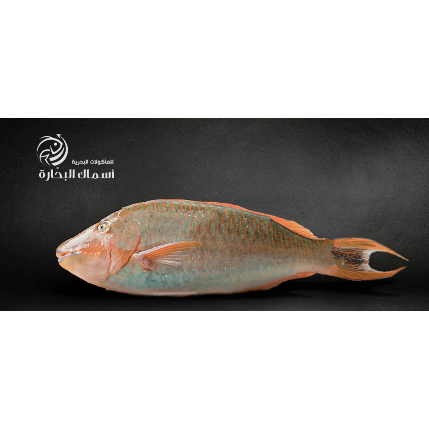 Harid Fish - Kilo