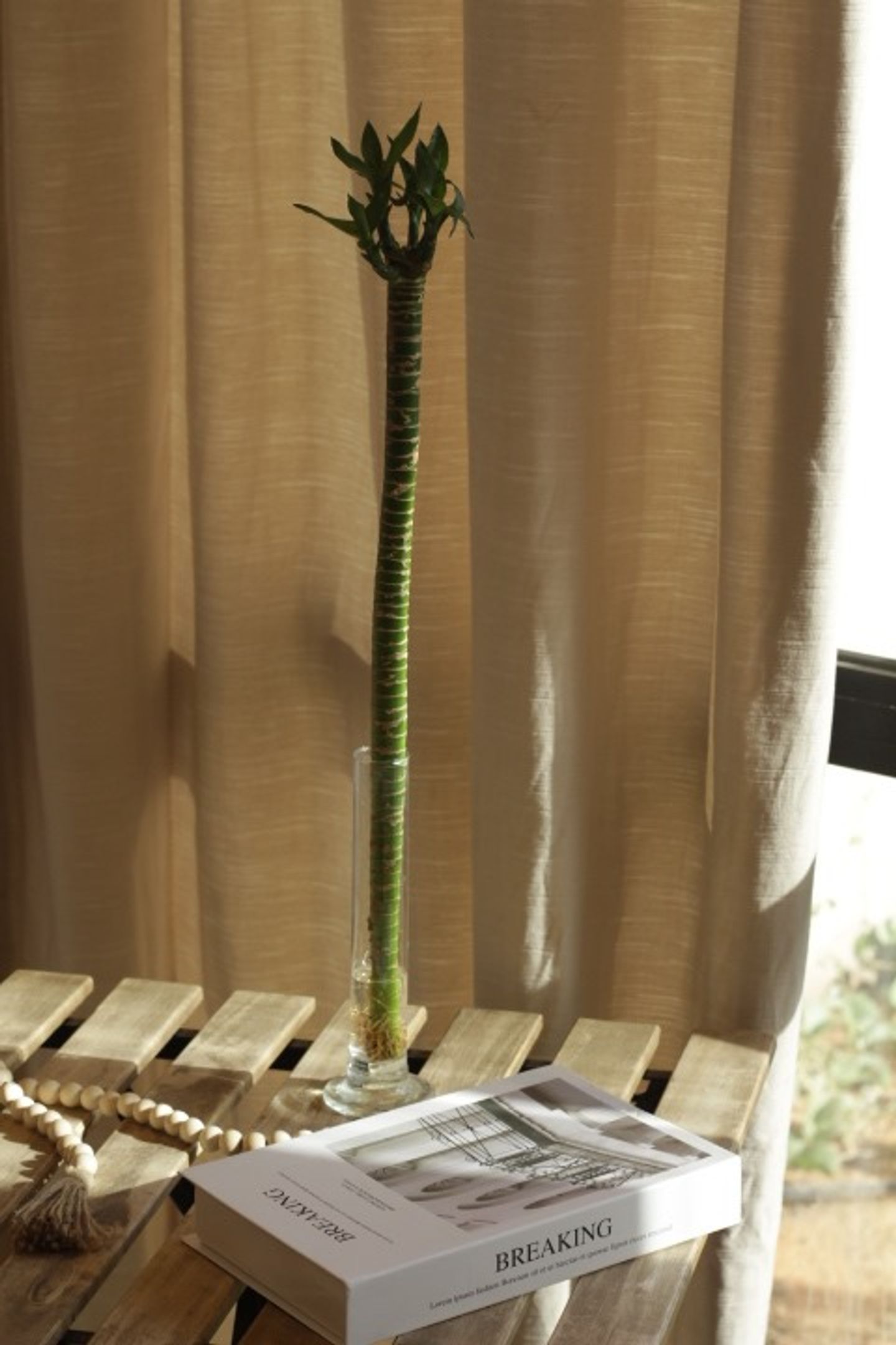 Bamboo Leg 70 Cm Large Straight Lotus(57)