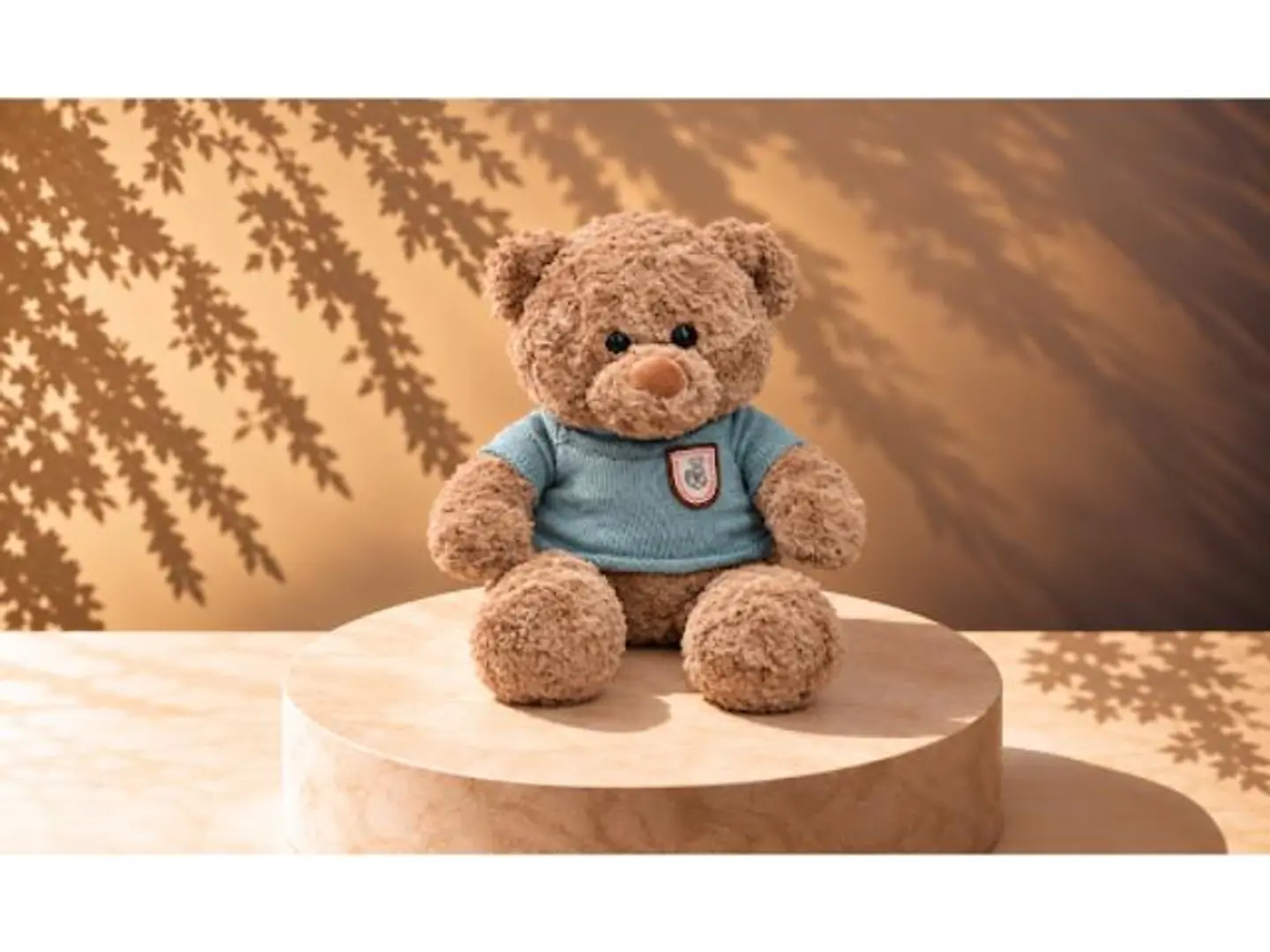 Teddy Bear 13