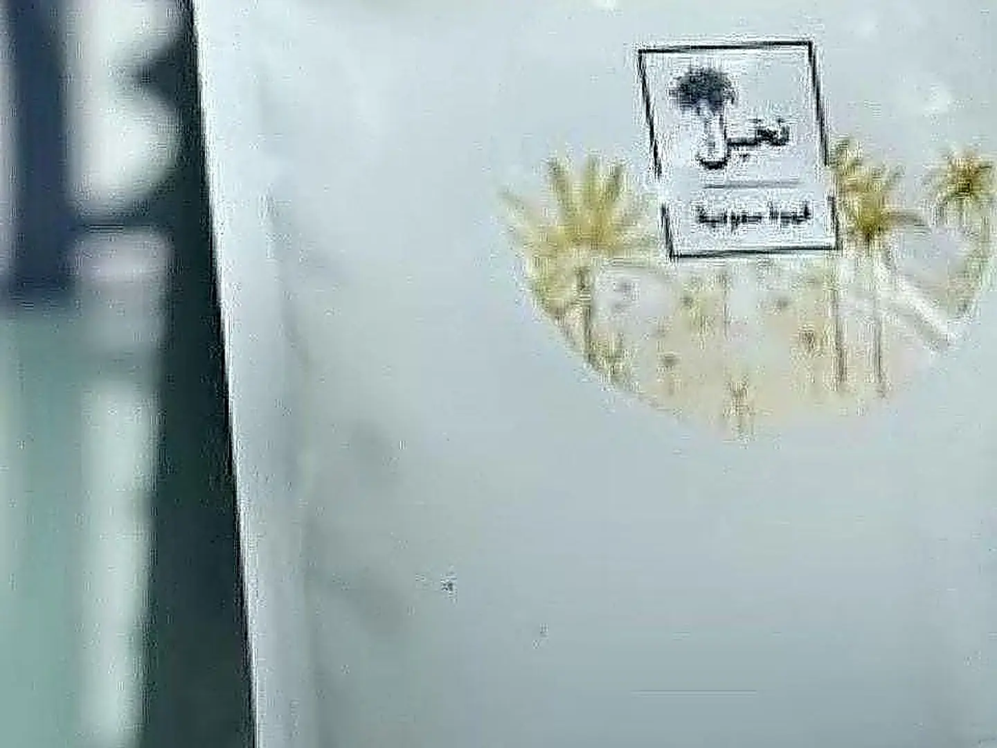 Saudi Palm Coffee