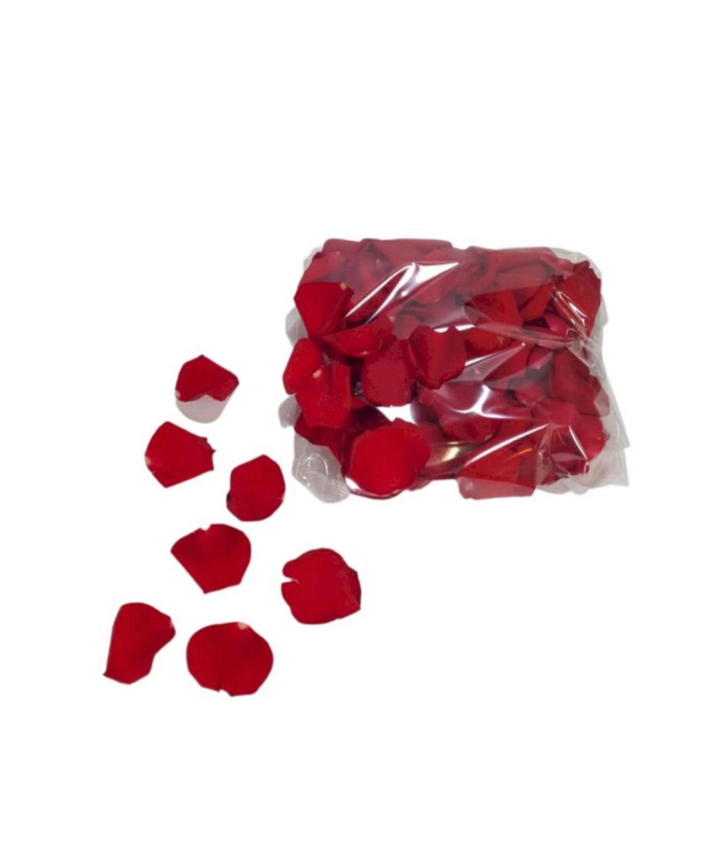 Scattered Roses