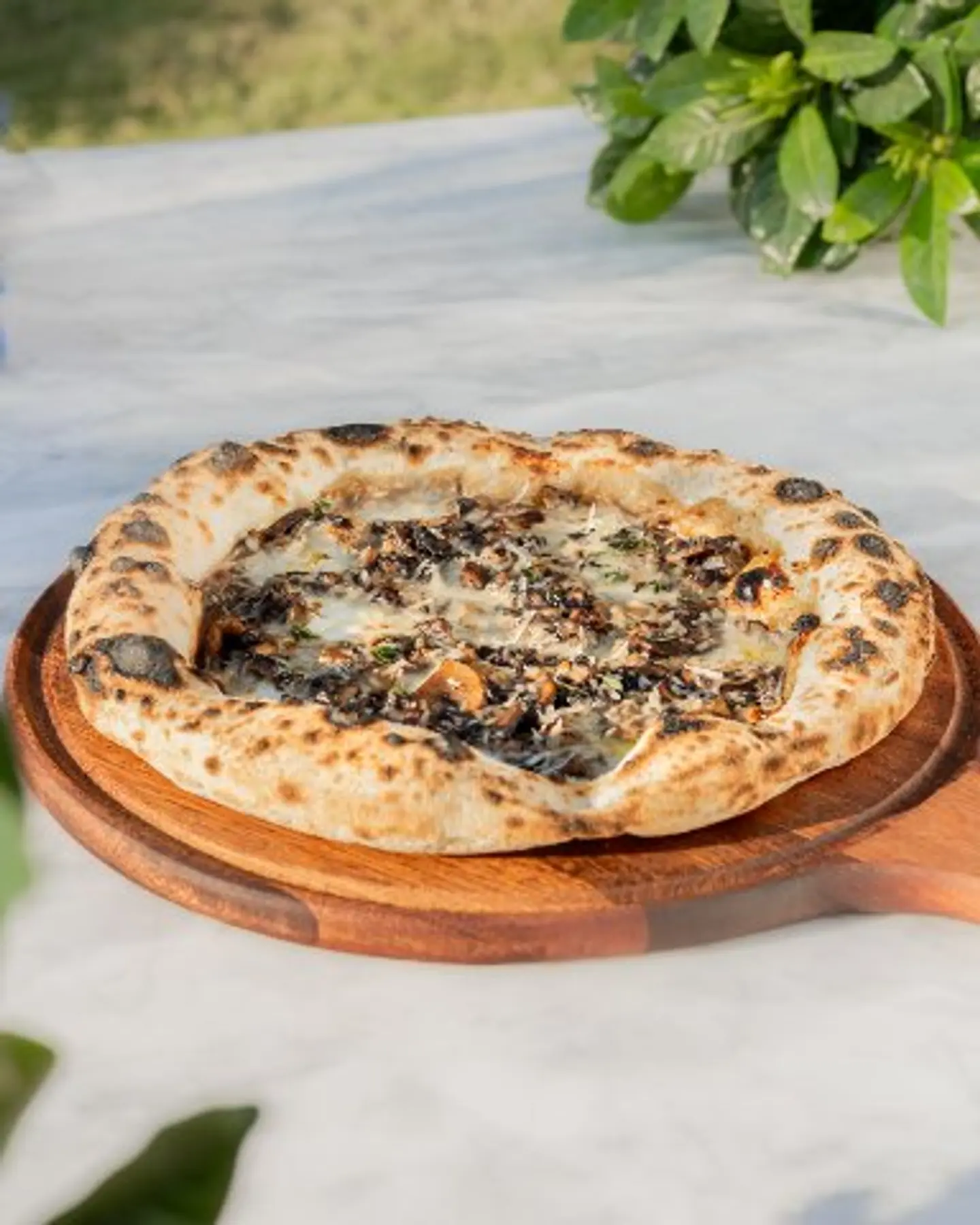 Truffle & Mushroom Pizza