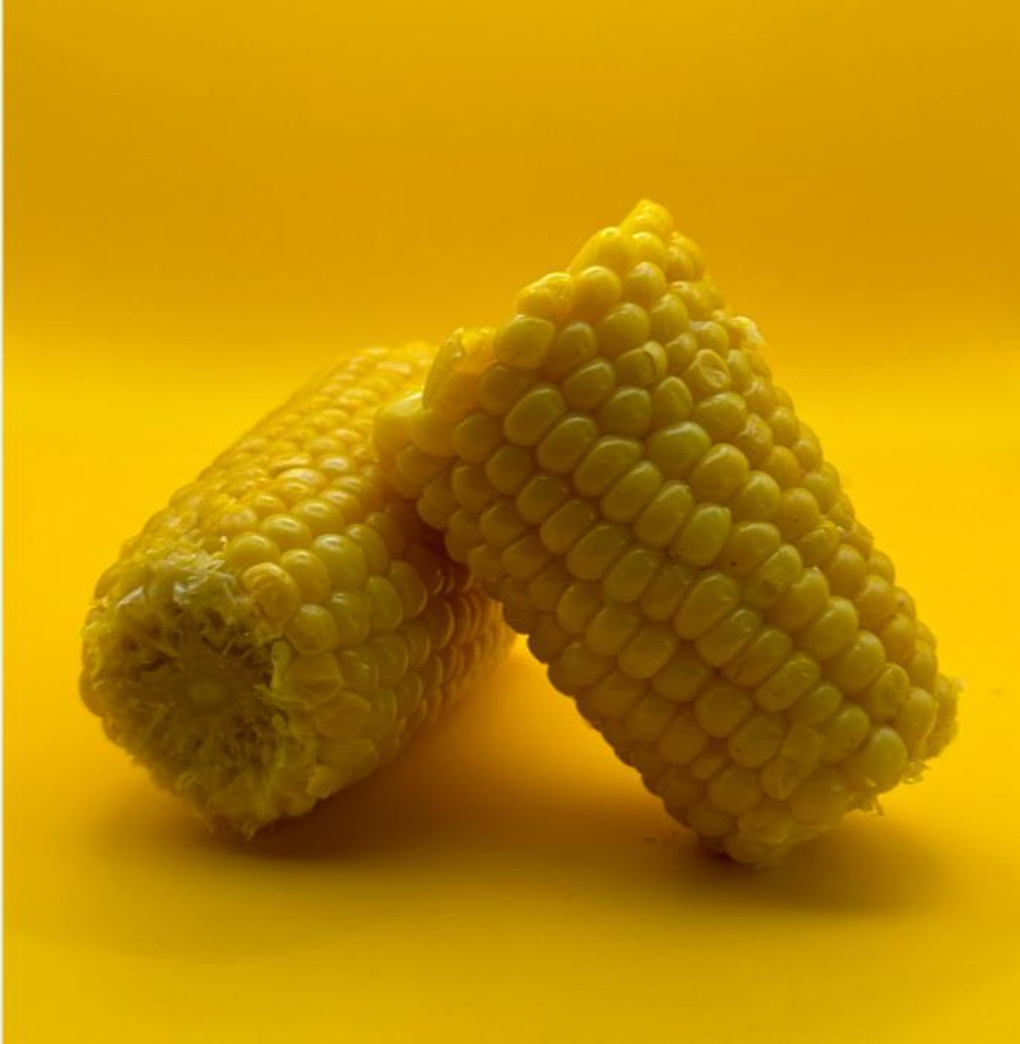 ذرة
