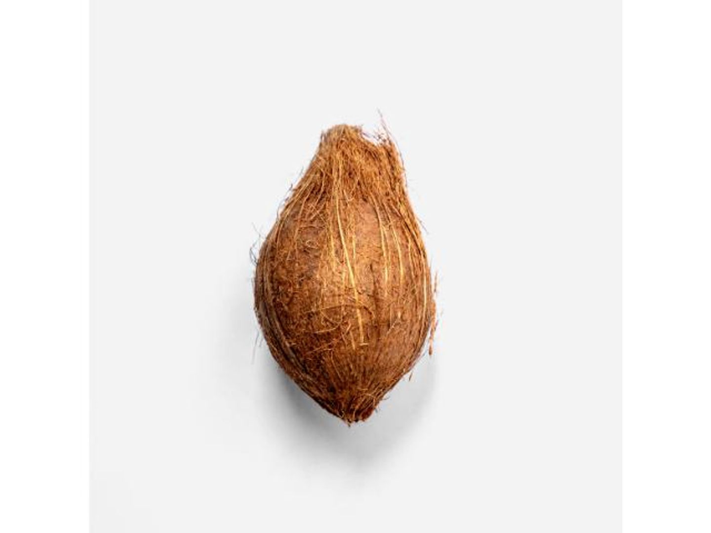 Coconut