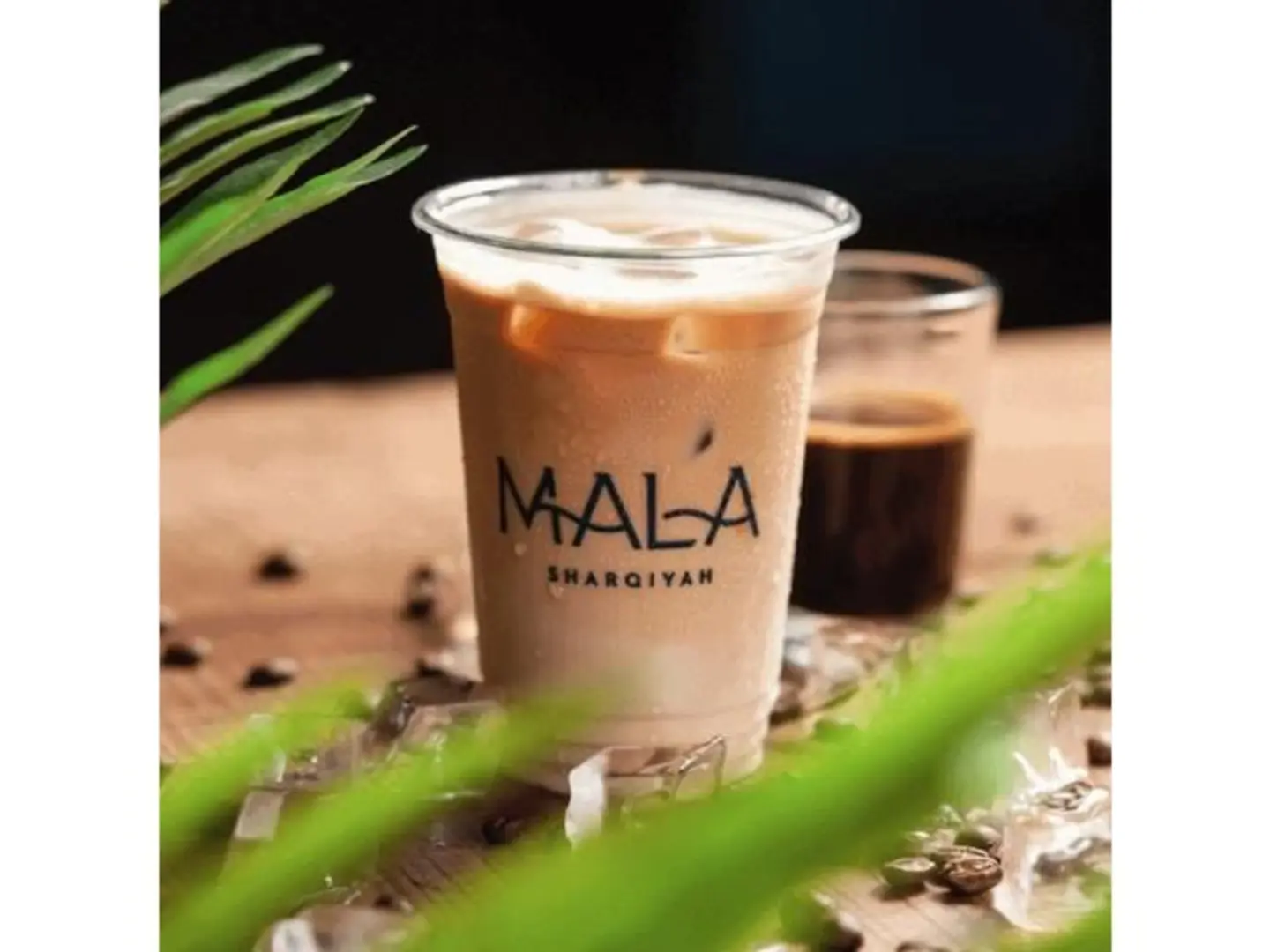 Iced Shaken White Latte