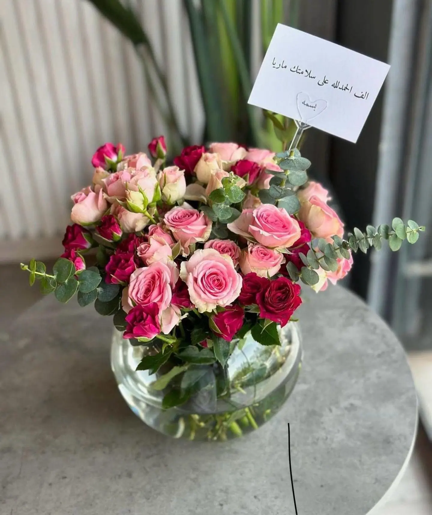 فازه ورد مكس 11