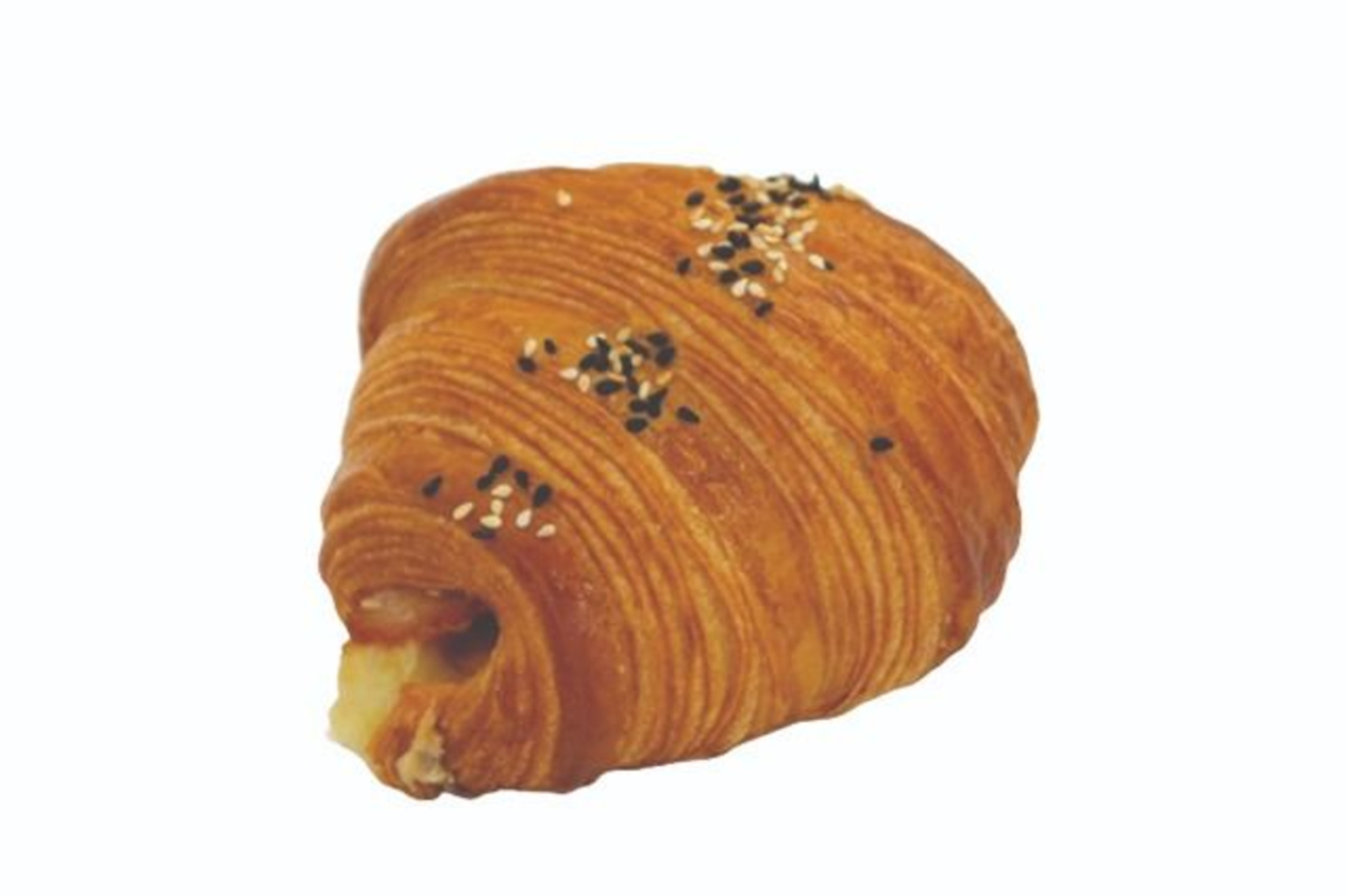 كرواسان ديك رومي وجبنة امينتال