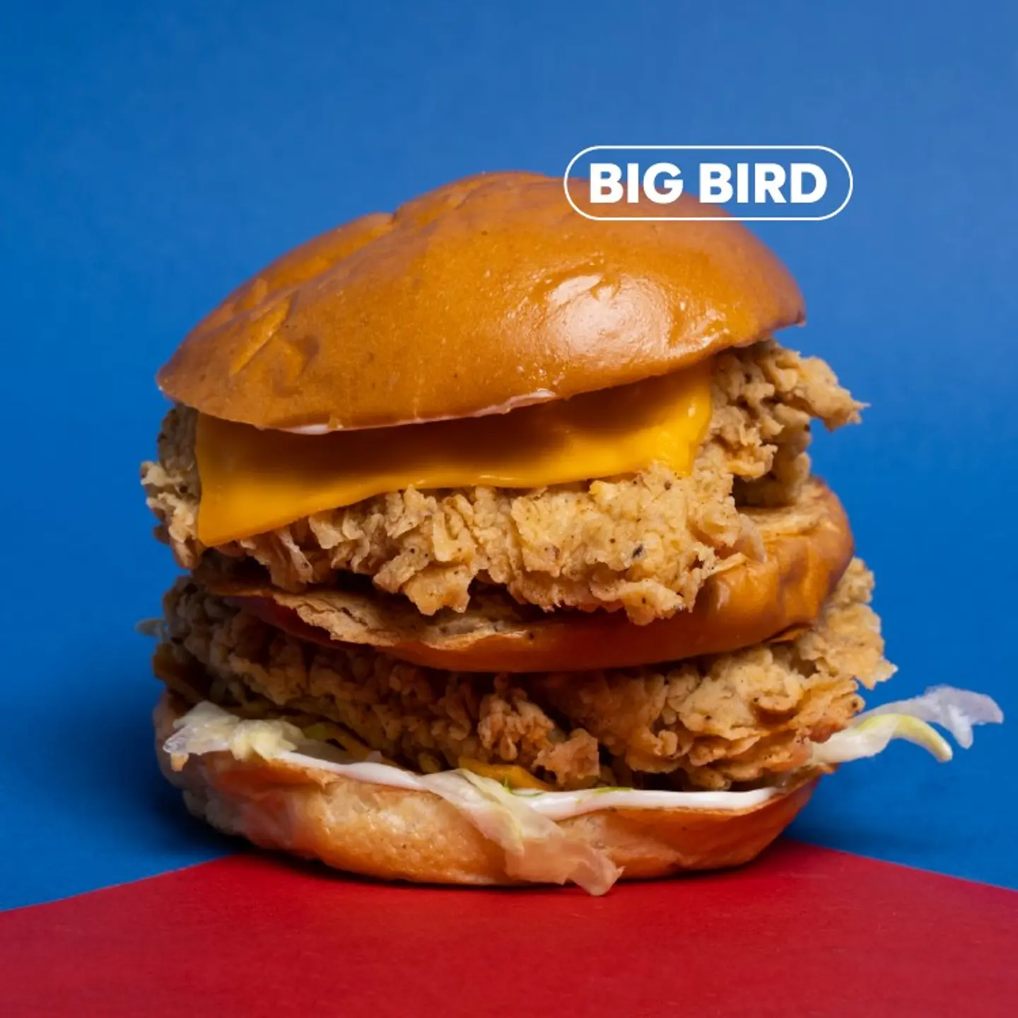 Big Bird - Regular