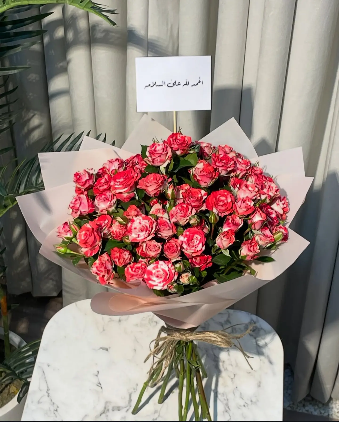بوكية الصفاء