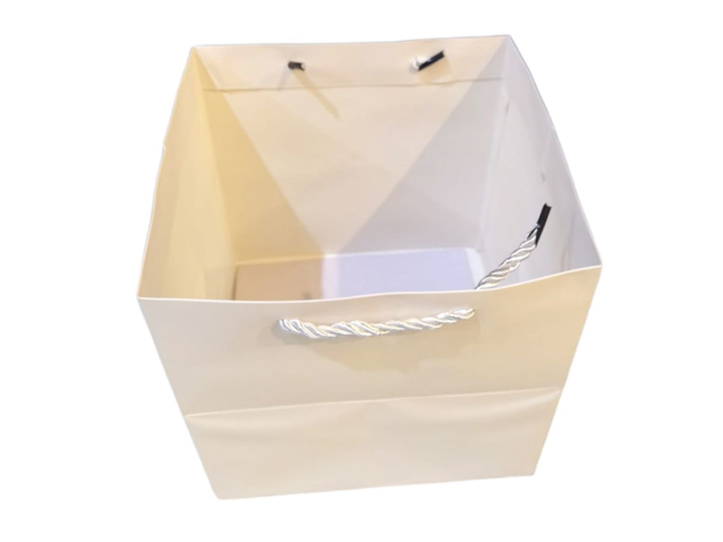 20x20x20 Gift Bag