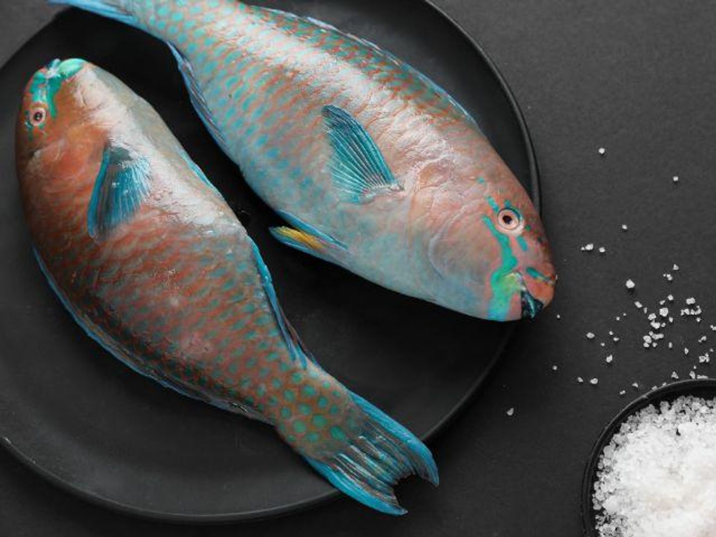 Fried Harid Fish