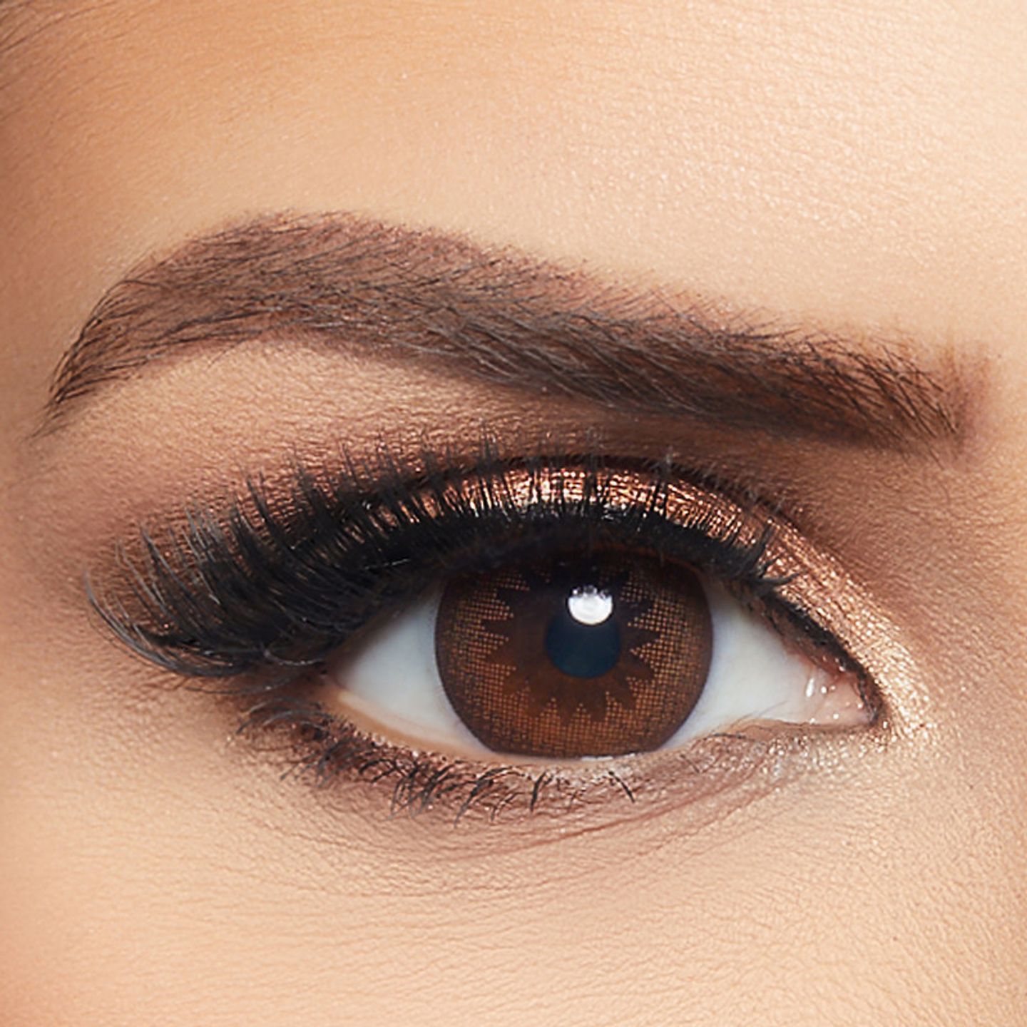 Dazzle Brown Contour Daily Lenses By Layala Pack Of 10