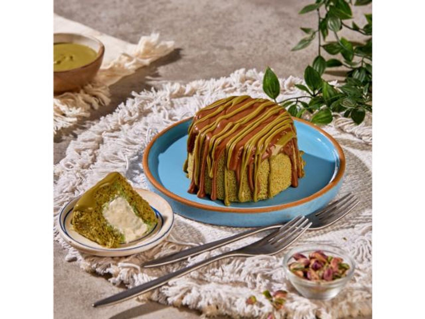 طخ بستاشيو