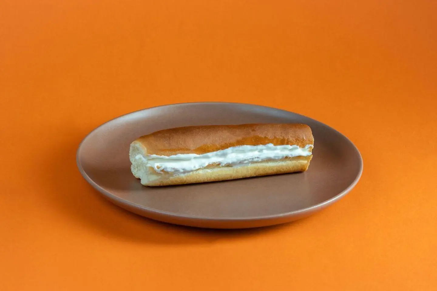 Cheese Sandwich