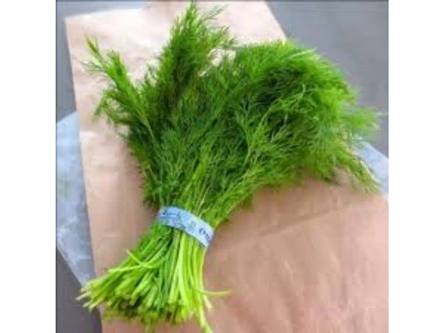 Dill